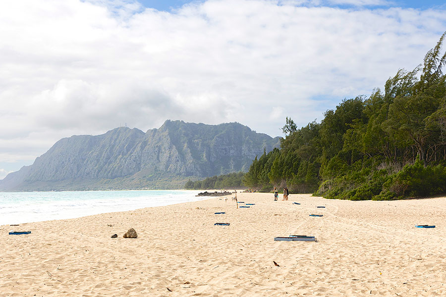 EARTH DAY 2024 IN HAWAII Vol.1_8.jpg