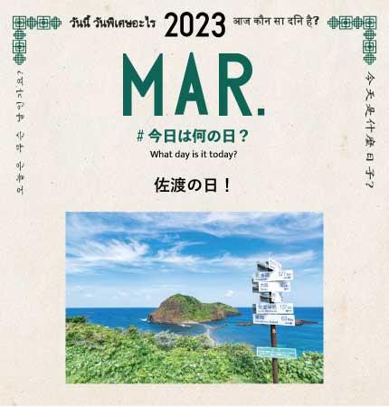 TRANSIT トランジット36冊＋1 その他 本 本・音楽・ゲーム 当店特別